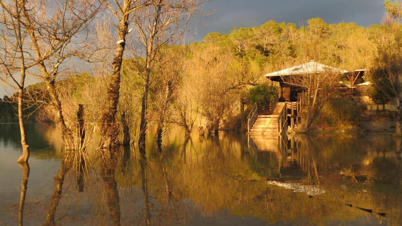 Le Castellas Du Pic St Loup Saint-Mathieu-de-Treviers Ngoại thất bức ảnh