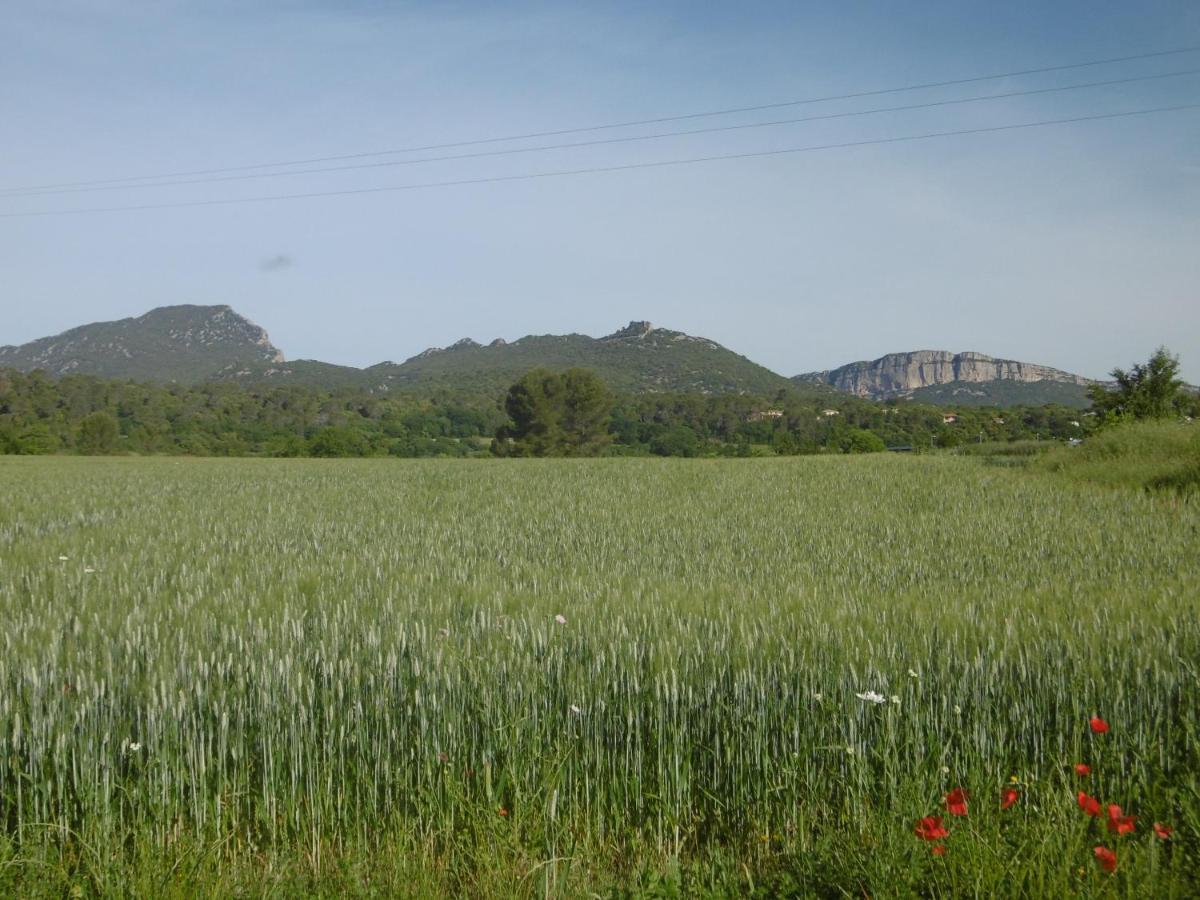 Le Castellas Du Pic St Loup Saint-Mathieu-de-Treviers Ngoại thất bức ảnh