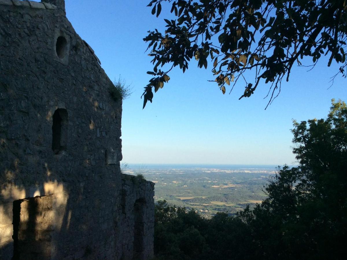 Le Castellas Du Pic St Loup Saint-Mathieu-de-Treviers Ngoại thất bức ảnh