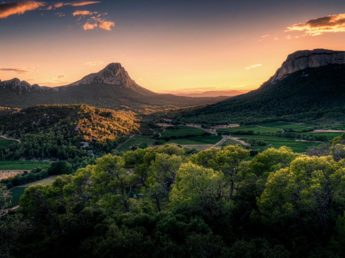 Le Castellas Du Pic St Loup Saint-Mathieu-de-Treviers Ngoại thất bức ảnh