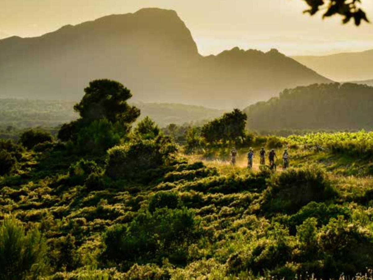 Le Castellas Du Pic St Loup Saint-Mathieu-de-Treviers Ngoại thất bức ảnh